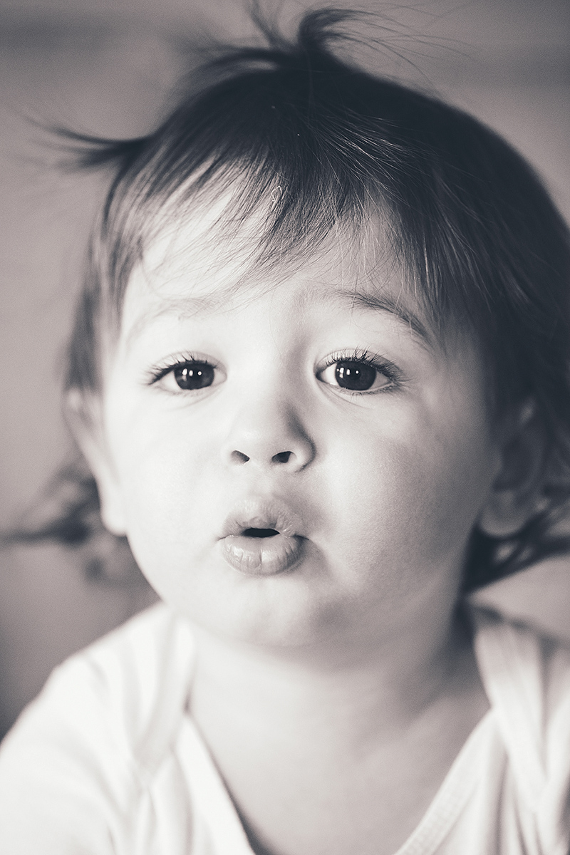 Cuteness Overload