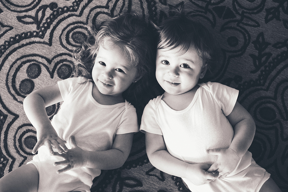 Cuteness Overload