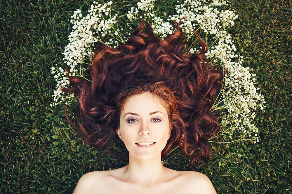 Vlada