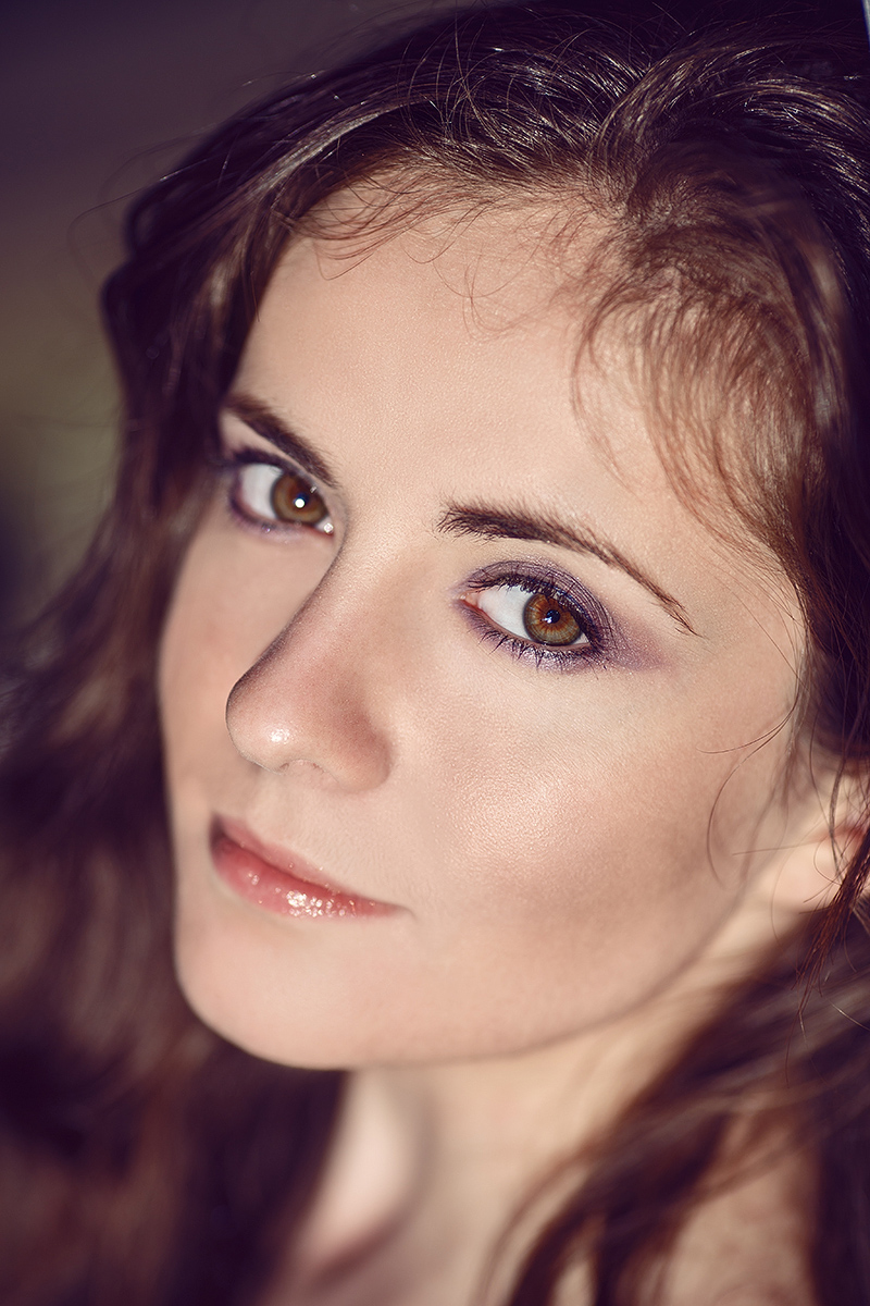 Vlada