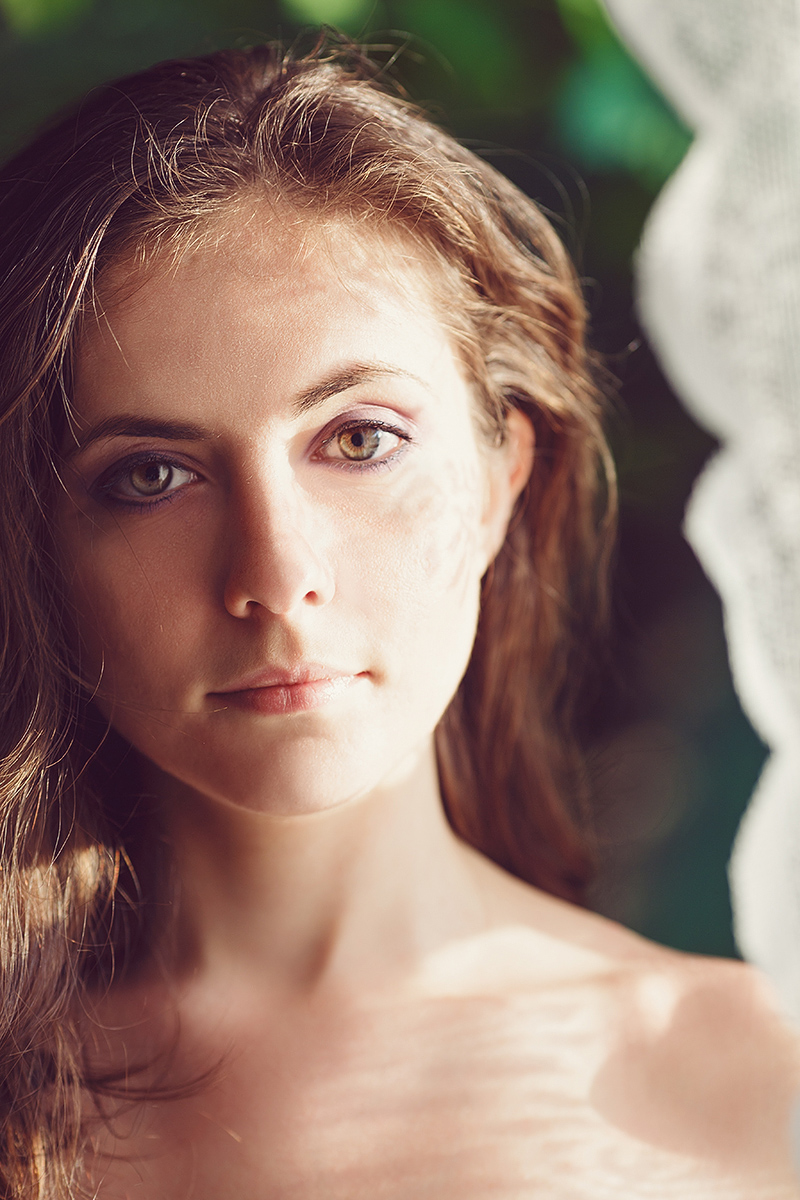 Vlada