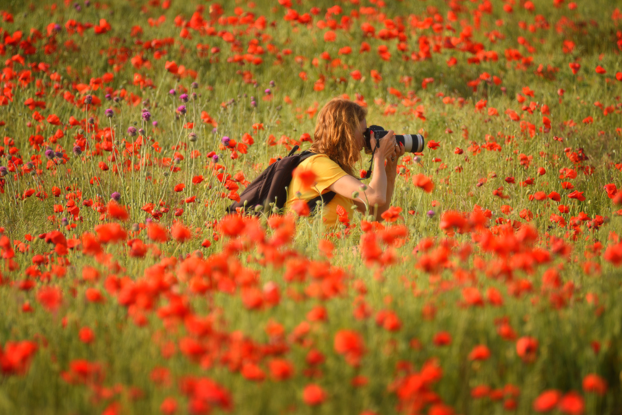 фототур на время цветения мака в крыму