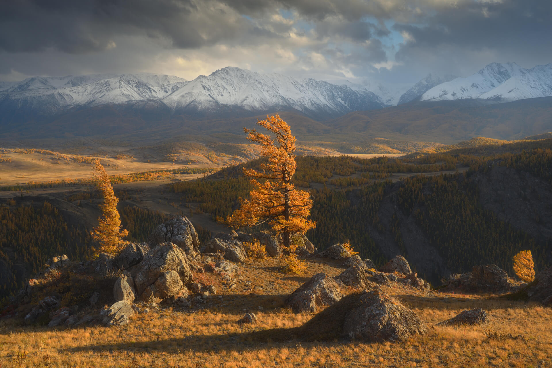 курайская степь туры фототуры на алтай в октябре из горно-алтайска