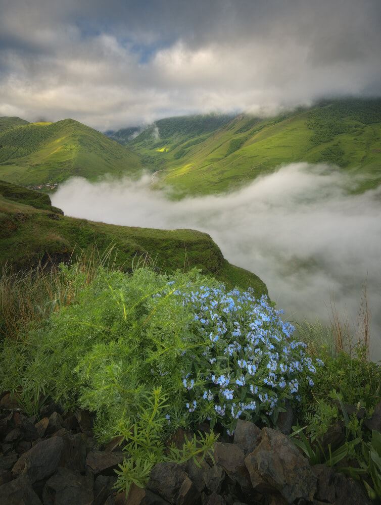 камунта летний тур фототур северная осетия алания