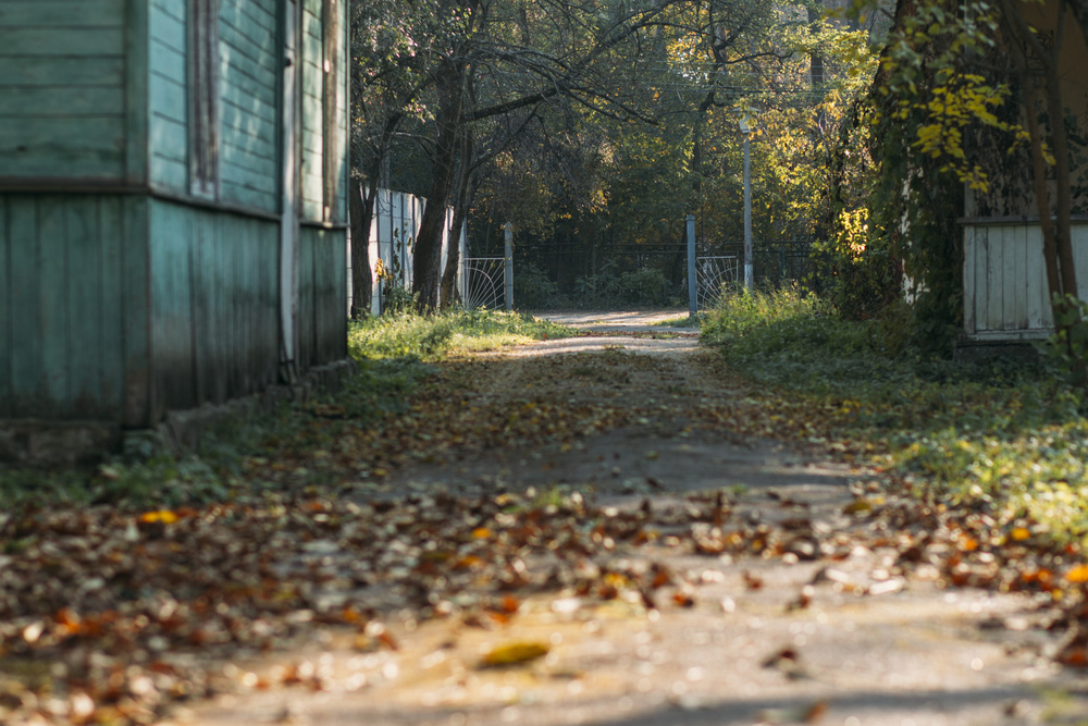 Autumn photos for Olya