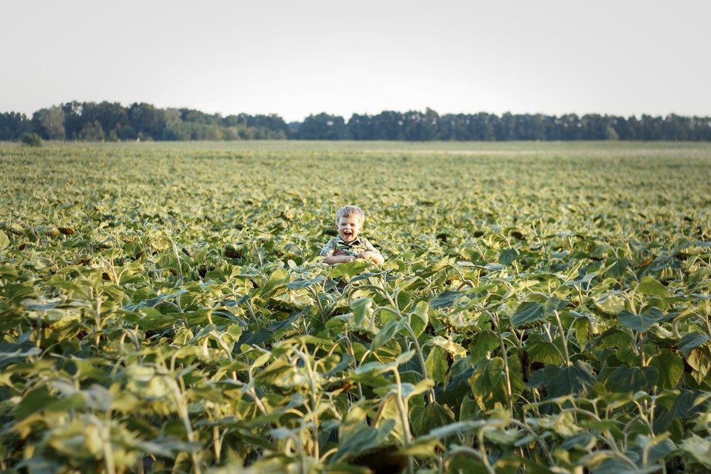 ЗА ГОРОДОМ