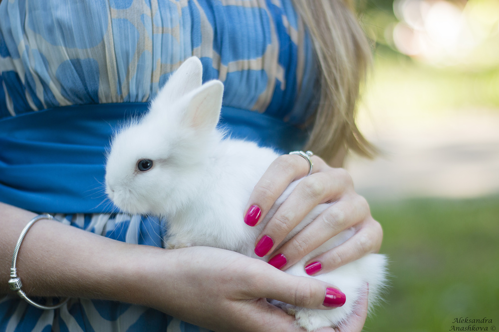 OLYA IN WONDERLAND