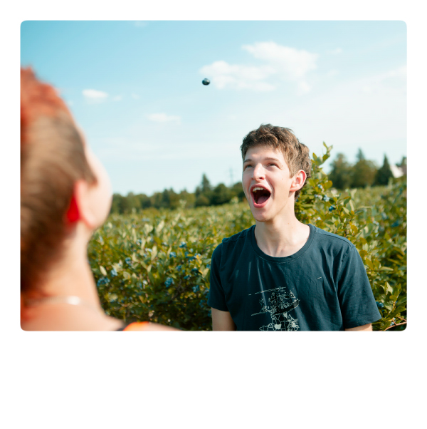 Heidelbeeren