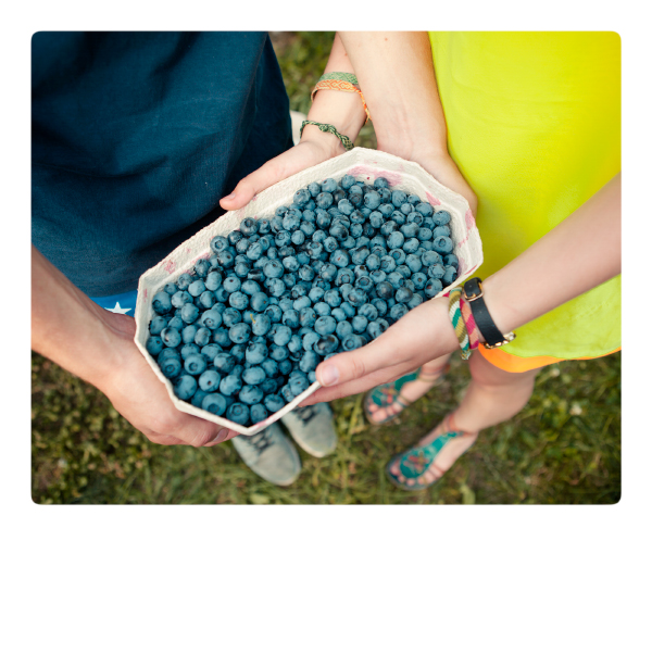 Heidelbeeren