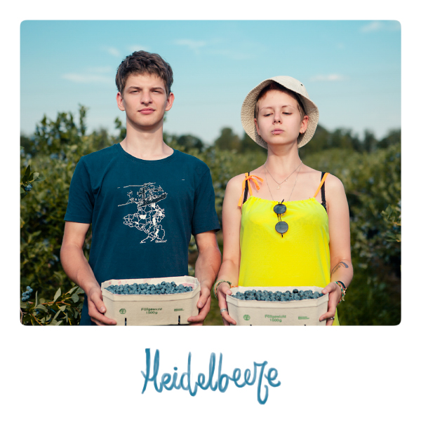 Heidelbeeren