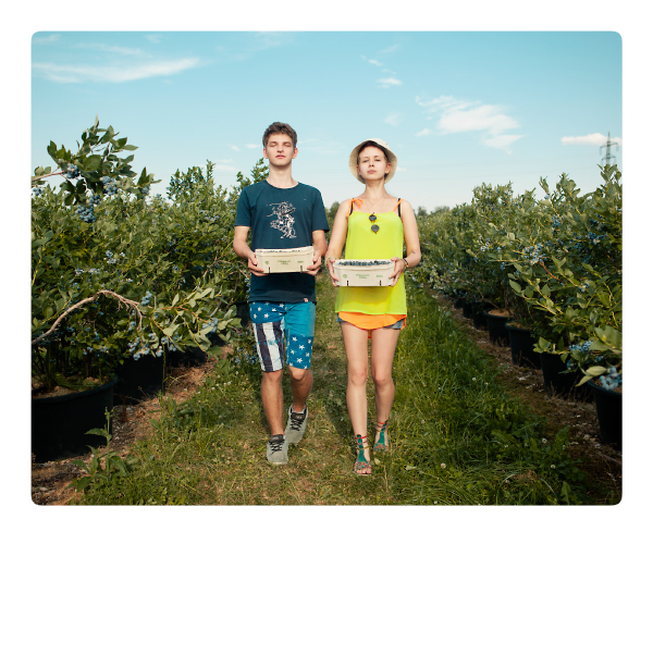 Heidelbeeren