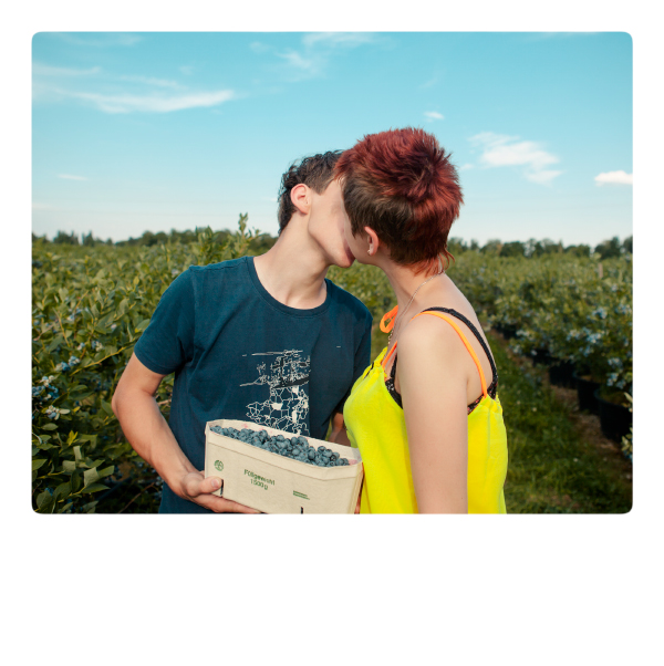 Heidelbeeren