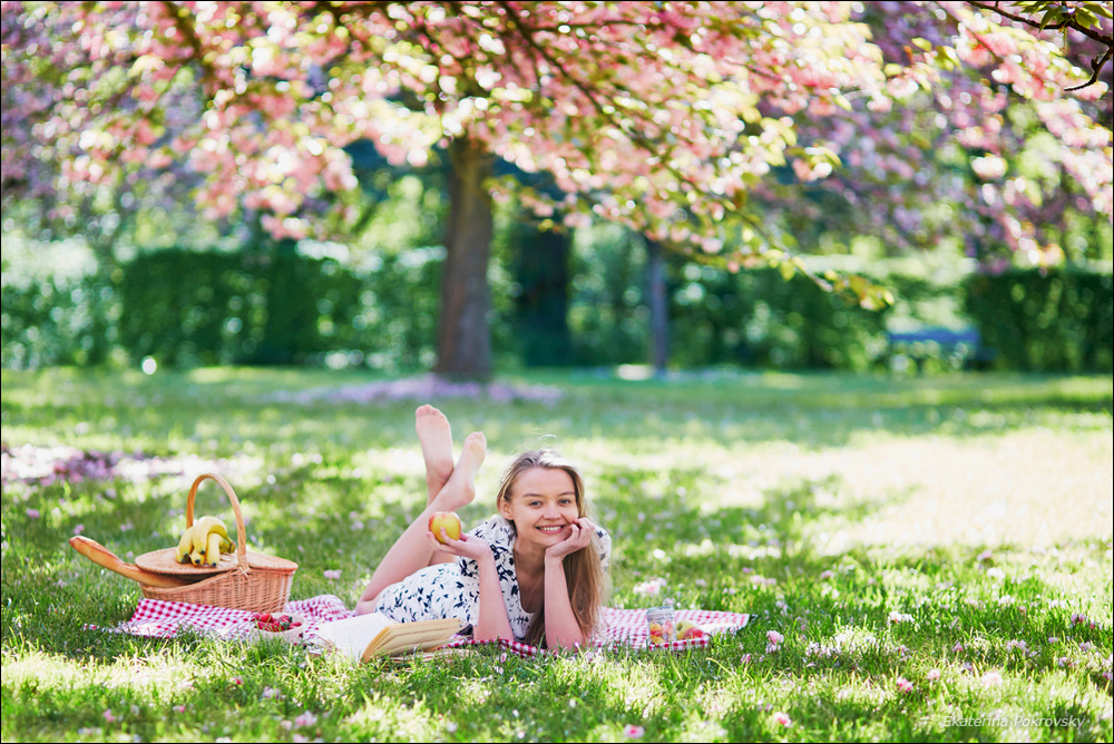 Cherry blossom in Sceaux