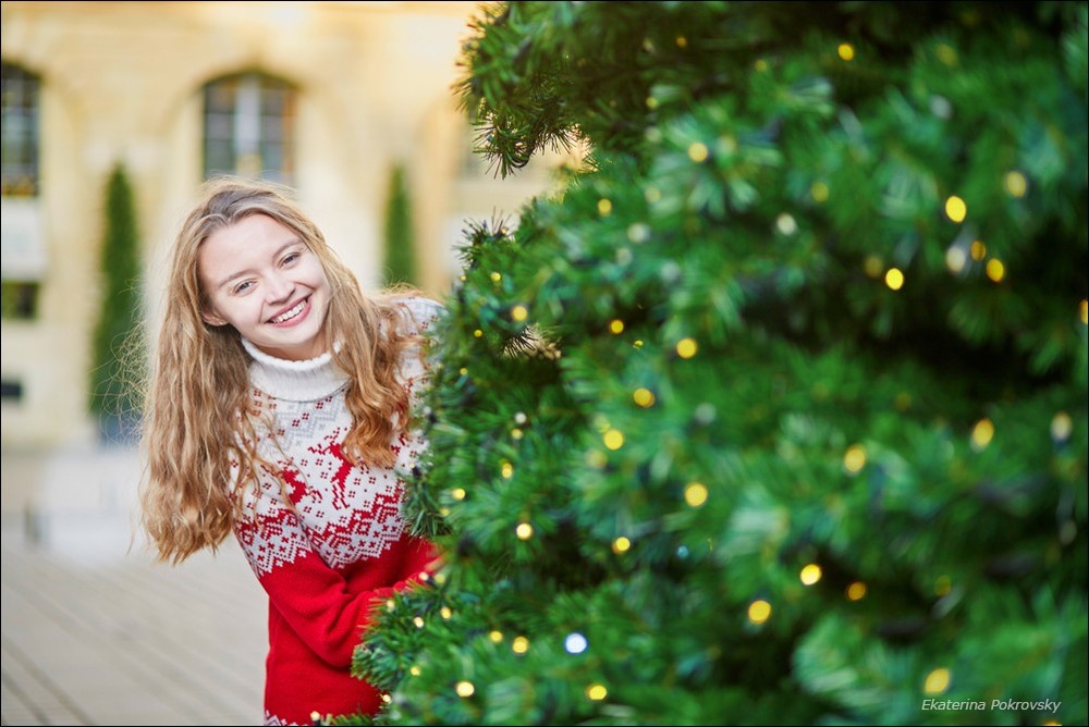Christmas in Paris