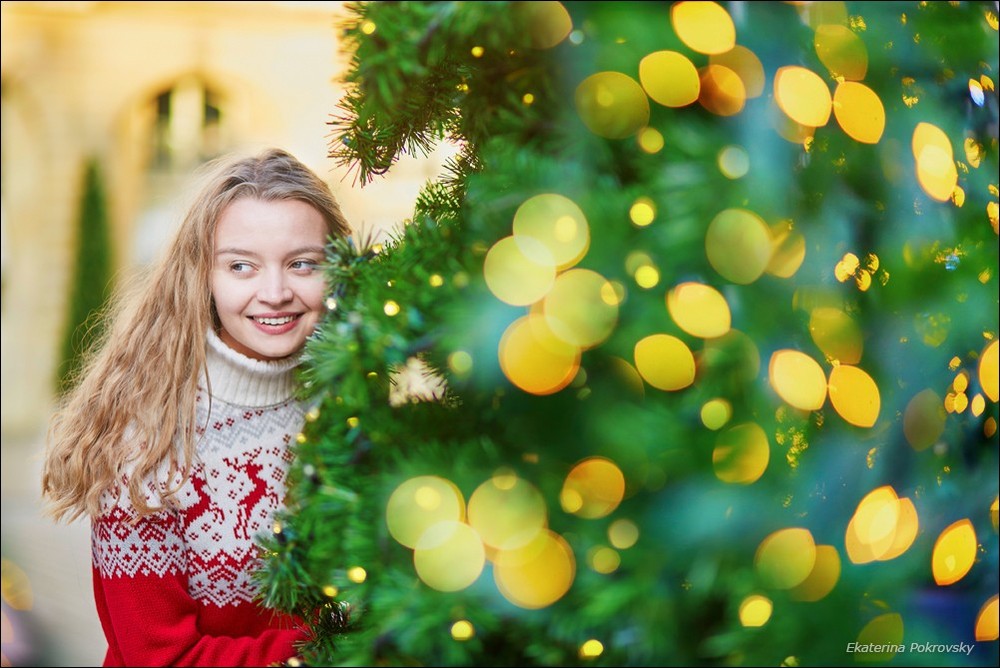 Christmas in Paris