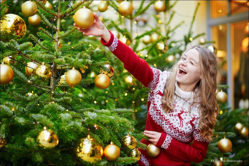 Christmas in Paris