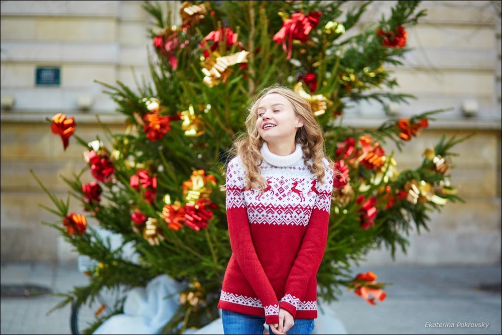 Christmas in Paris