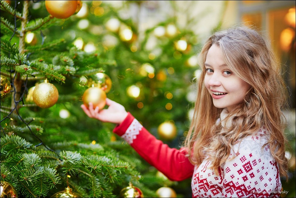 Christmas in Paris