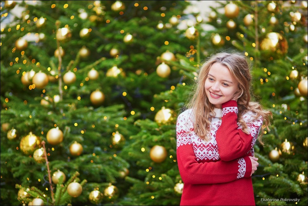 Christmas in Paris