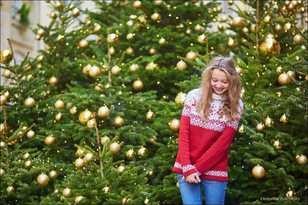 Christmas in Paris