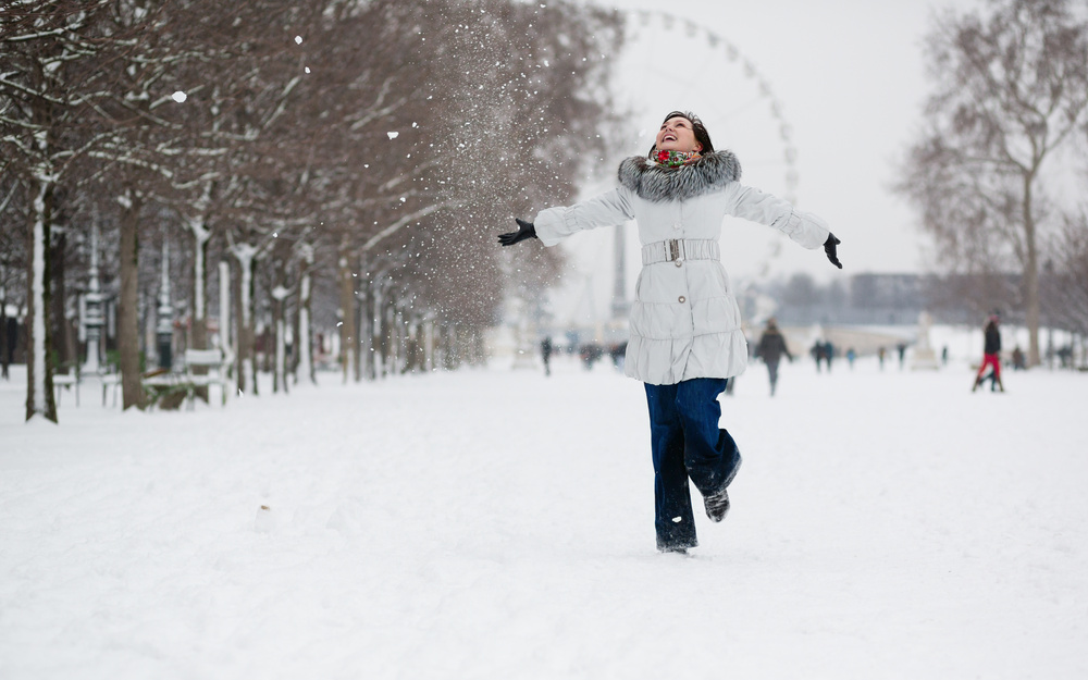 Snowy day in Paris