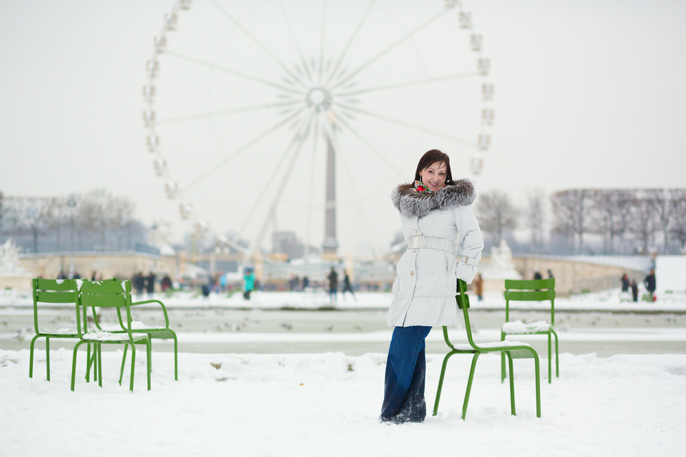 Snowy day in Paris