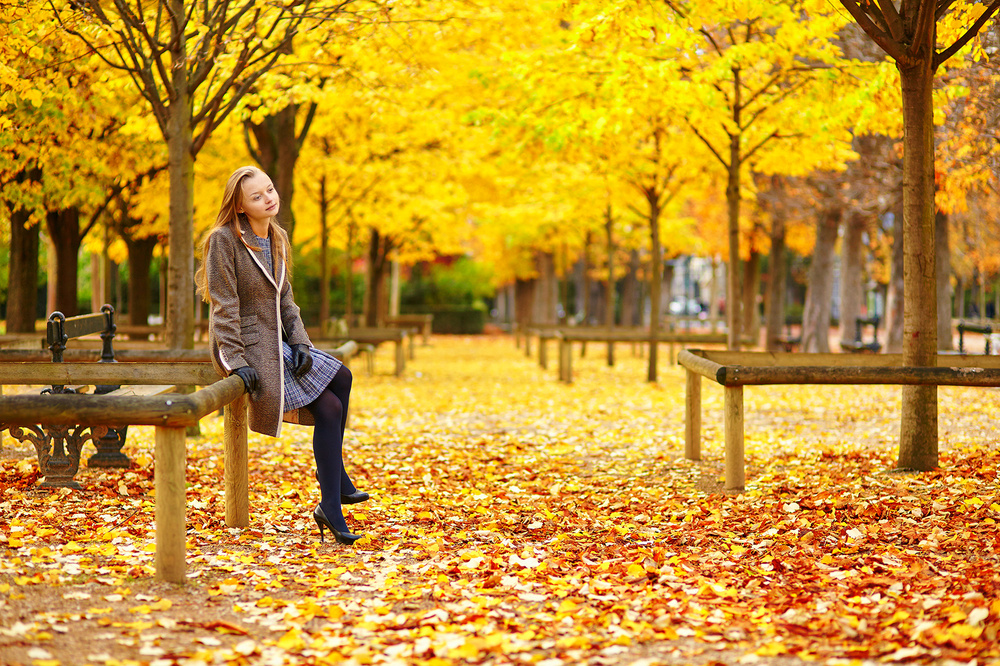 Parisian golden autumn