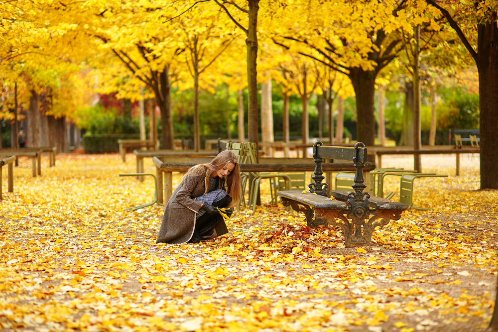 Parisian golden autumn