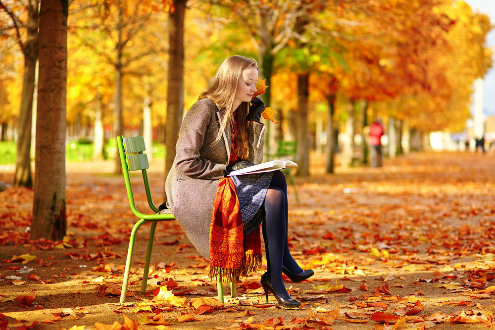 Parisian golden autumn
