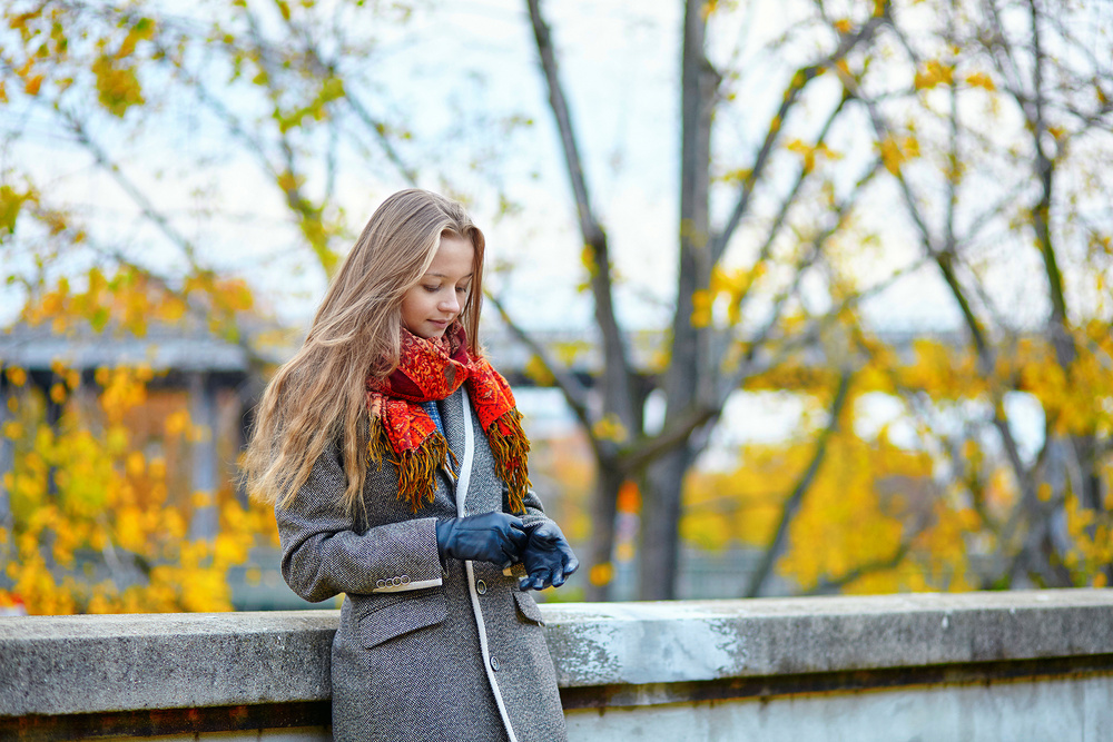 Parisian golden autumn