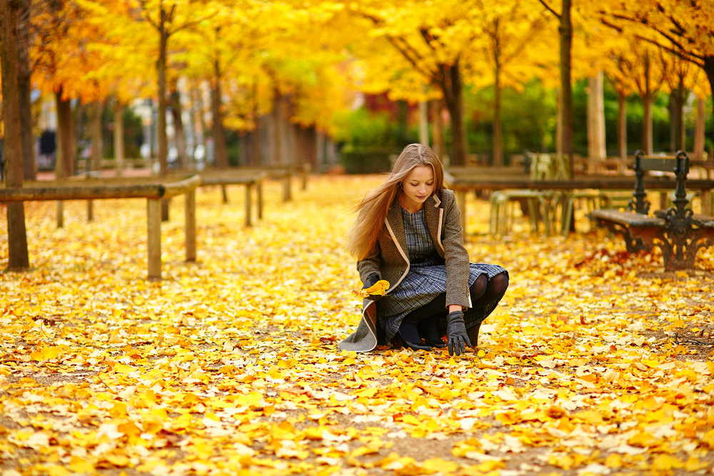 Parisian golden autumn