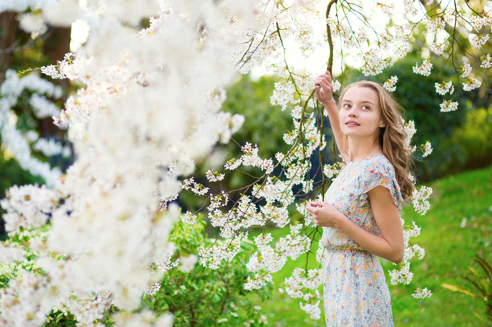 Cherry blossom