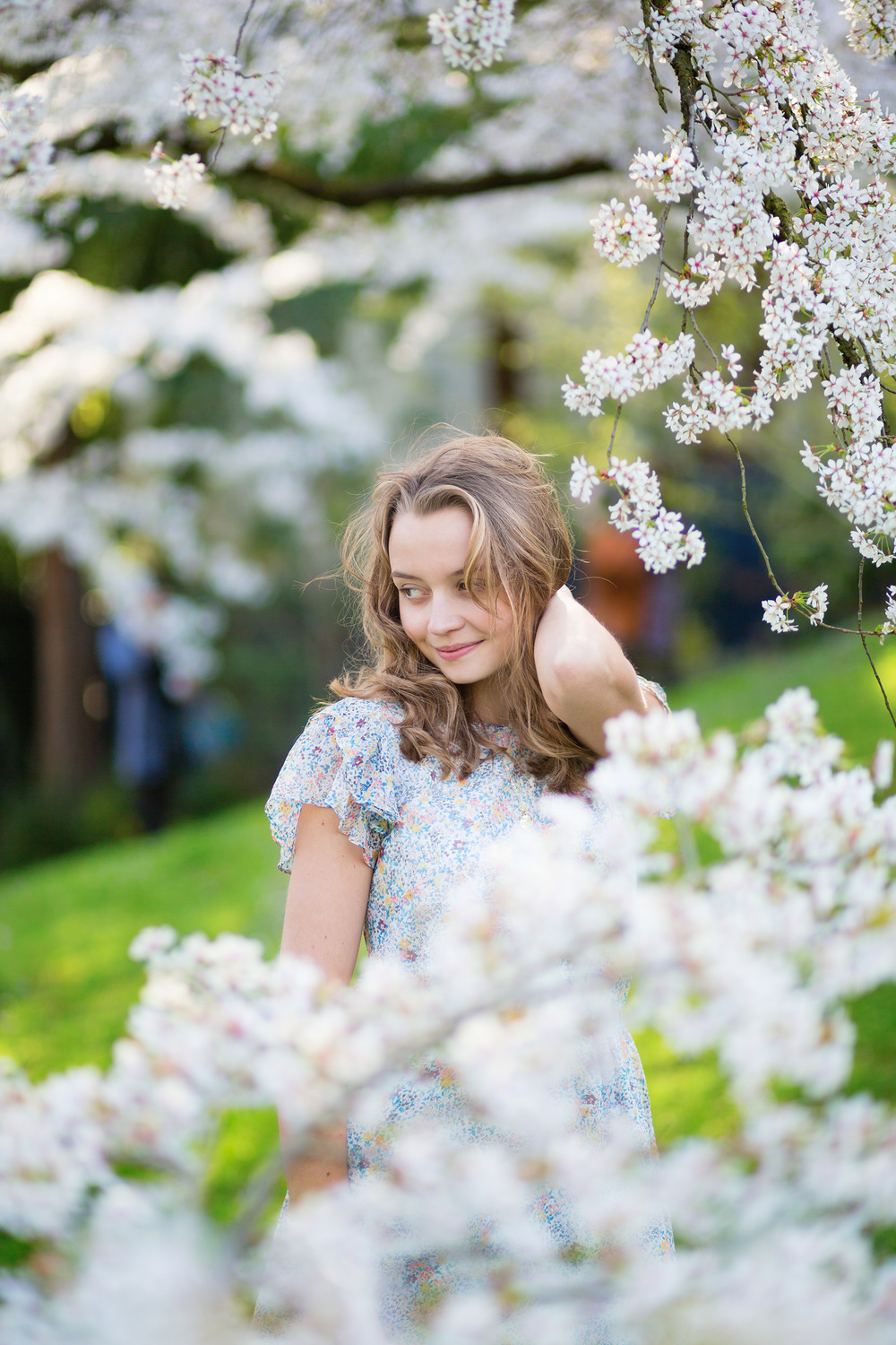 Cherry blossom