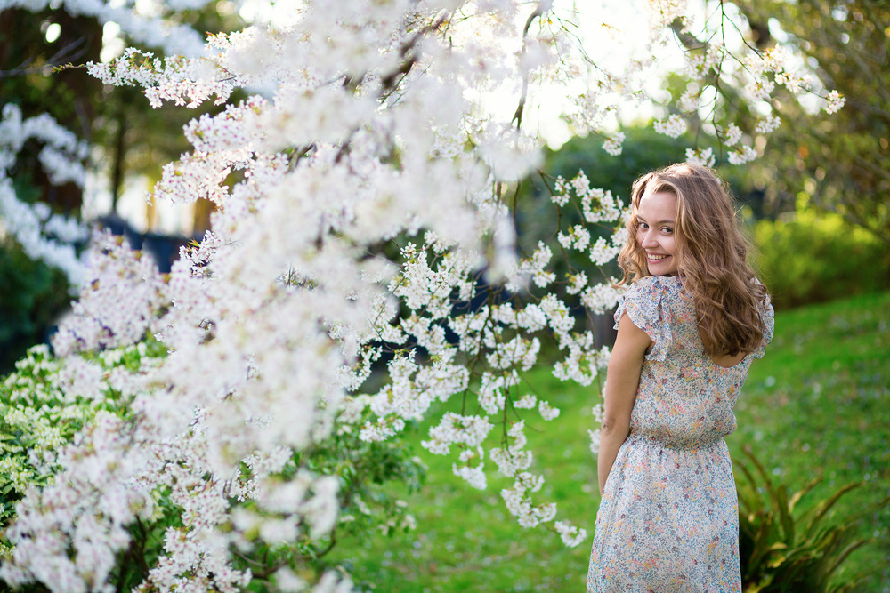 Cherry blossom