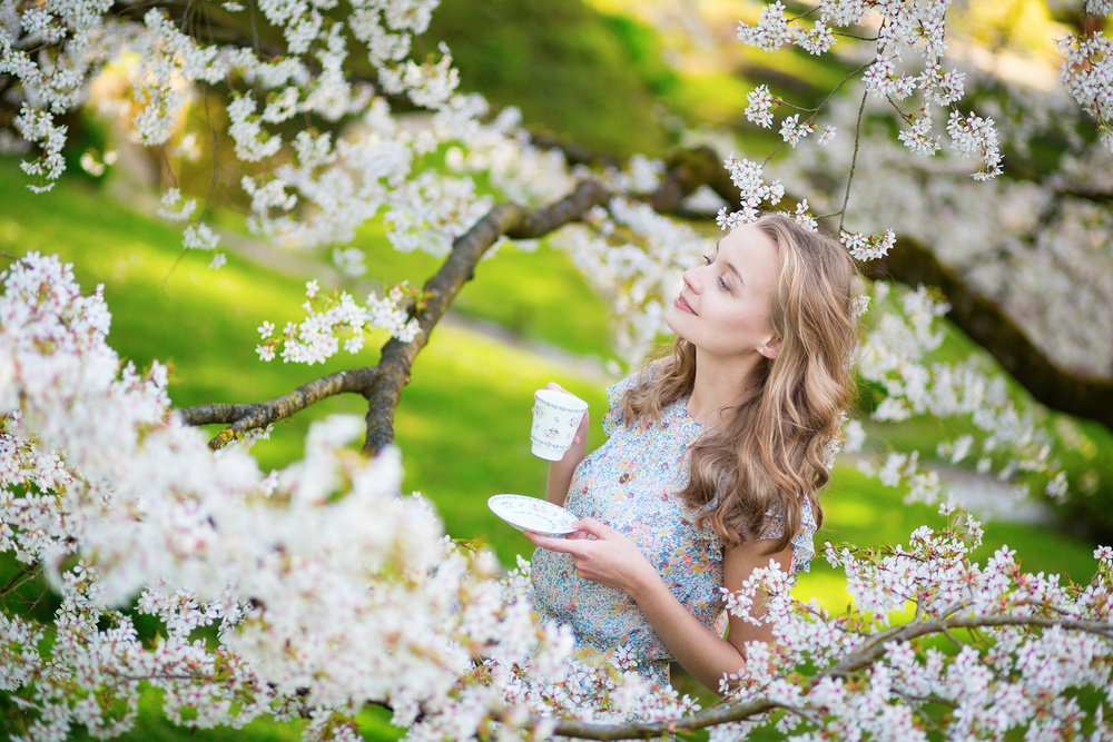 Cherry blossom