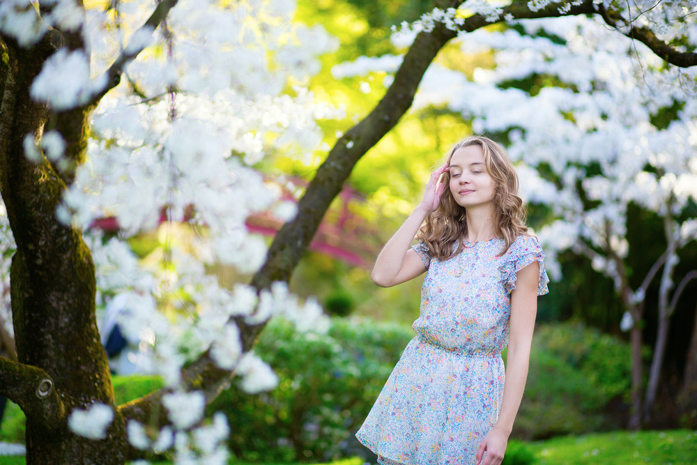 Cherry blossom