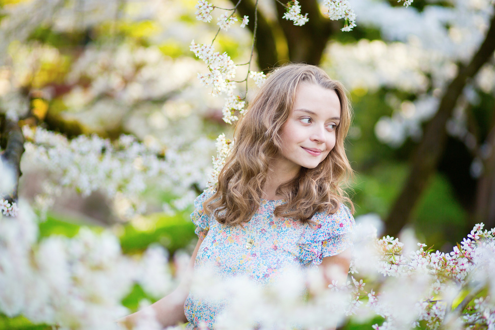 Cherry blossom