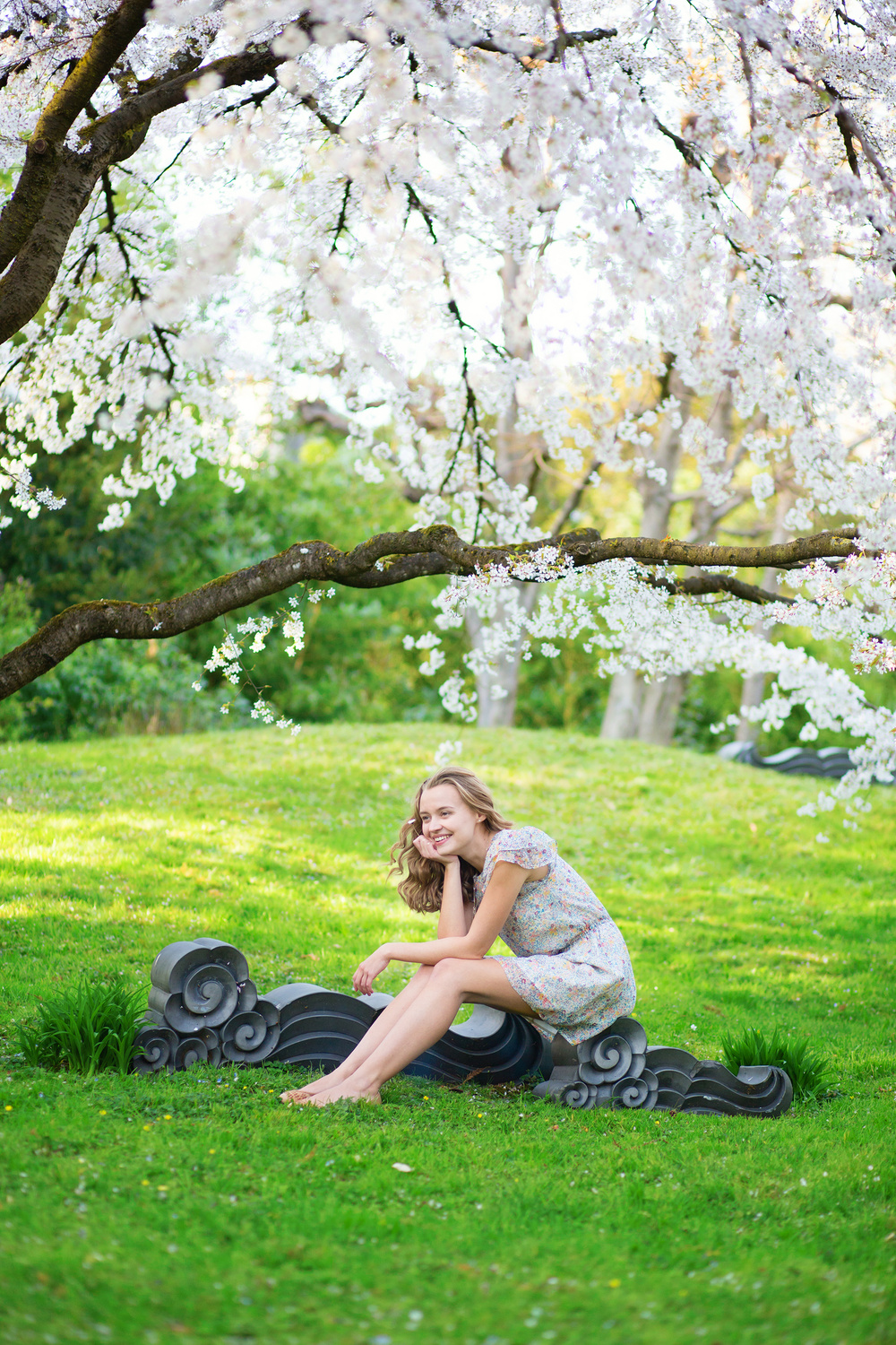 Cherry blossom
