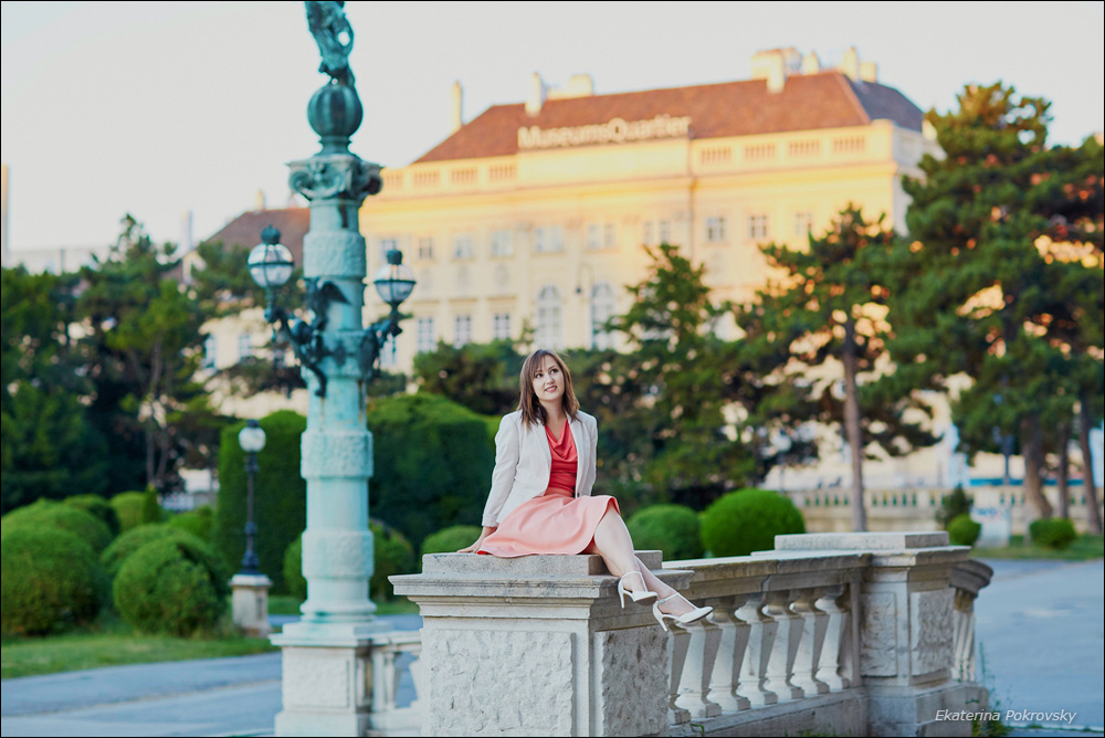 Morning in Vienna
