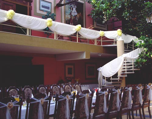 Bacio Resto pulmad
