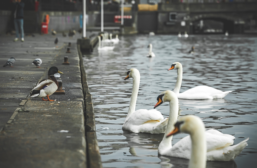Germany, Hamburg 2013