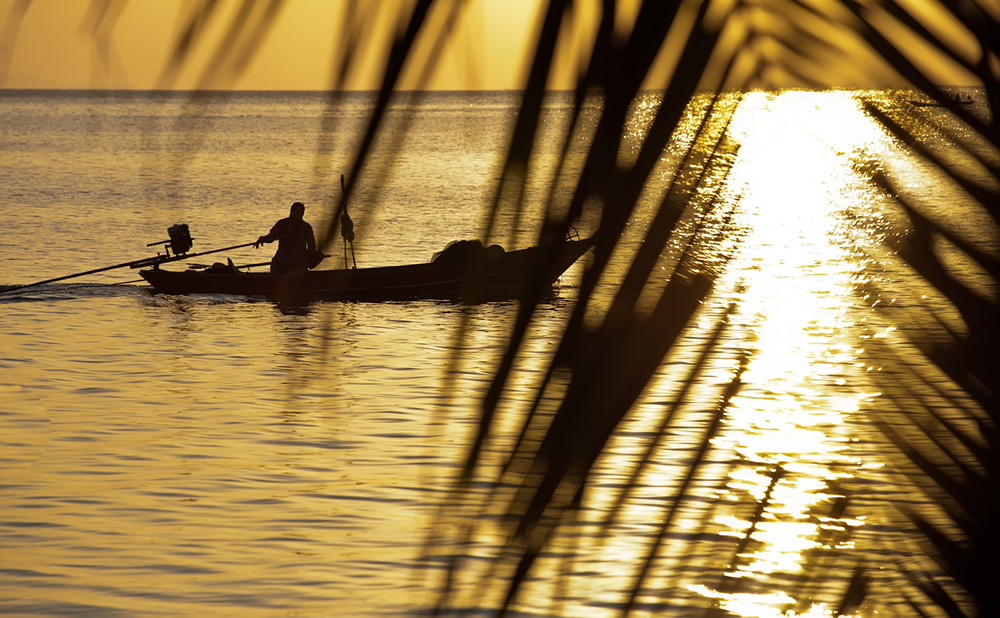 Thai, Phangan - HoneyFullmoon 2014