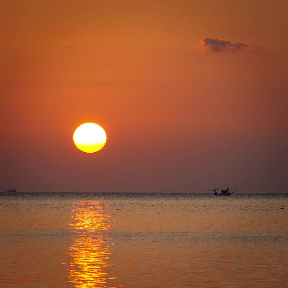 Thai, Phangan - HoneyFullmoon 2014