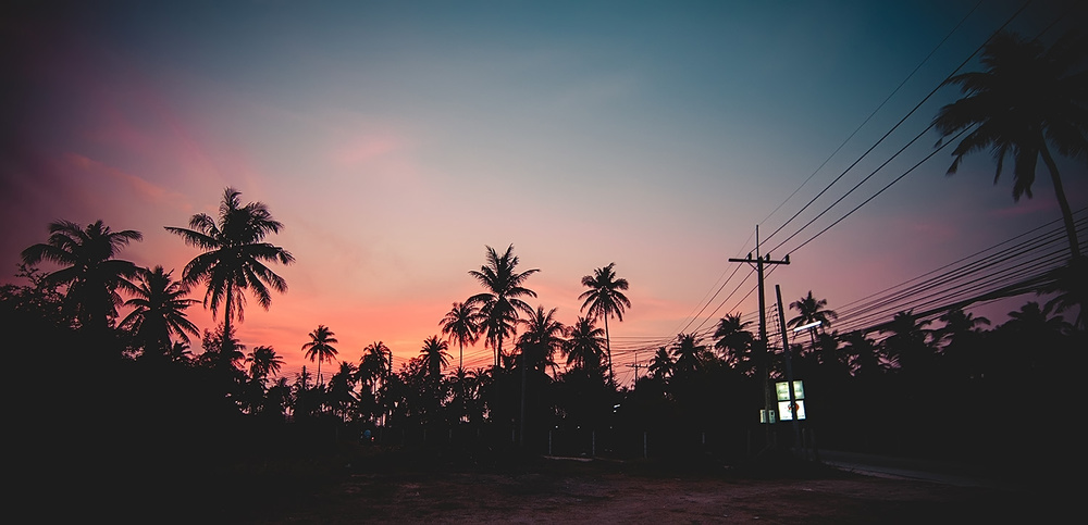 Thai, Phangan - HoneyFullmoon 2014