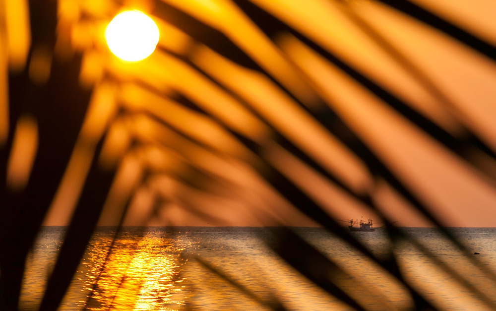 Thai, Phangan - HoneyFullmoon 2014