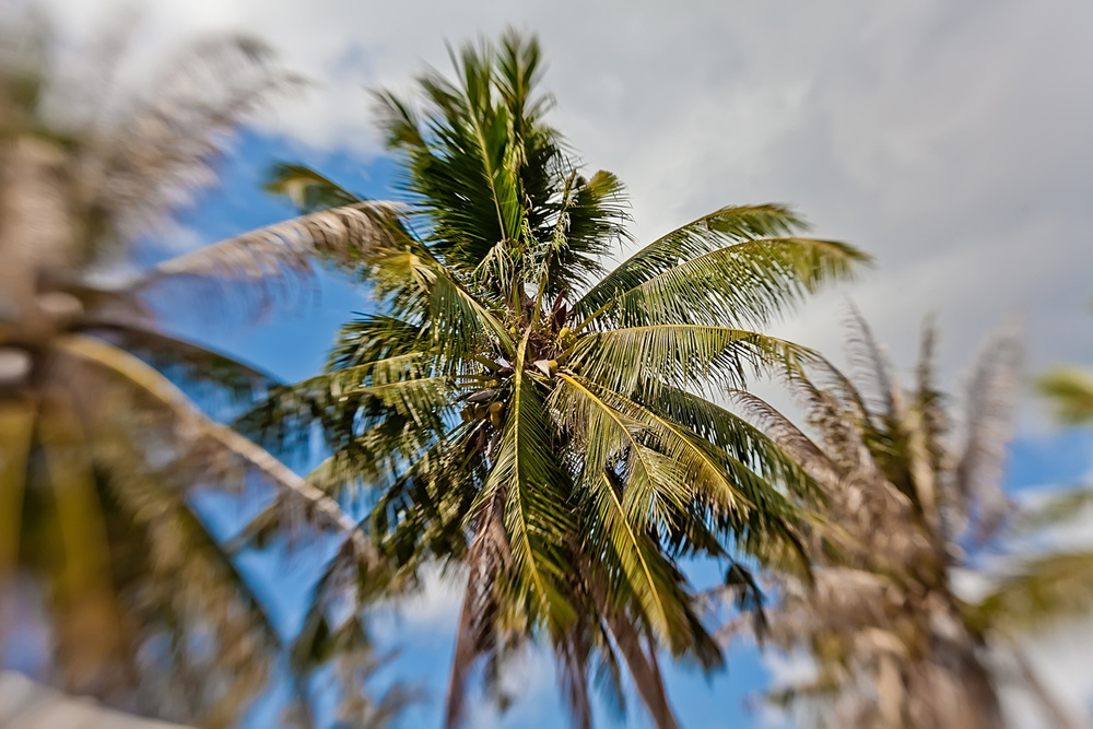 Thai, Phangan - HoneyFullmoon 2014