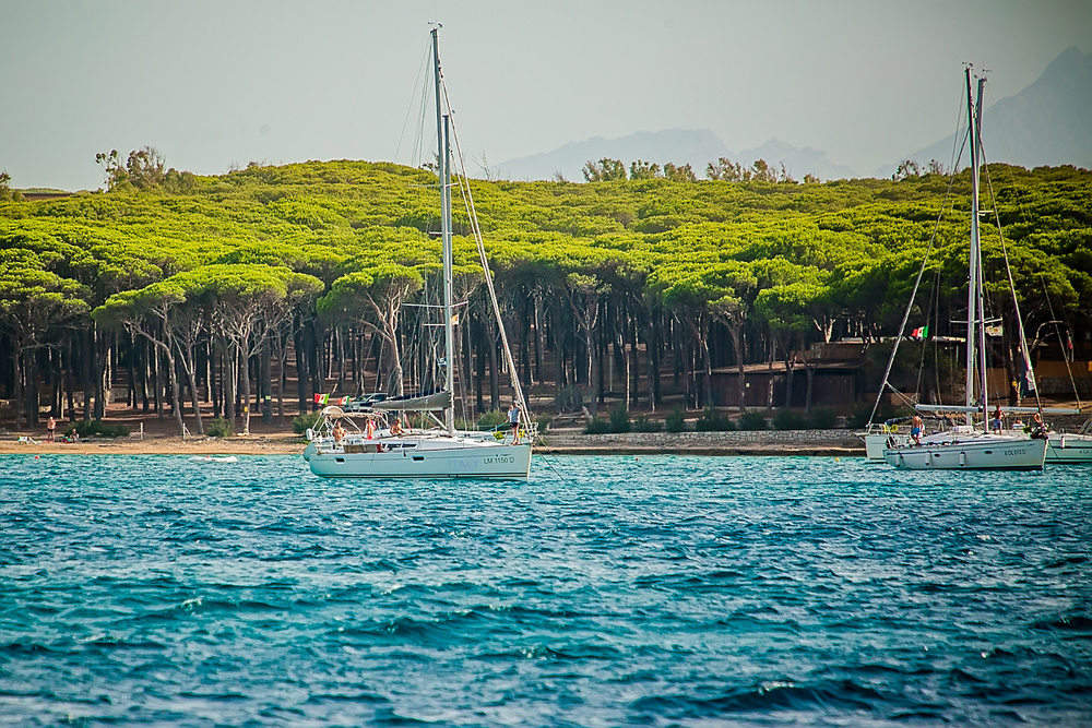 Italy, Sardinia 2015