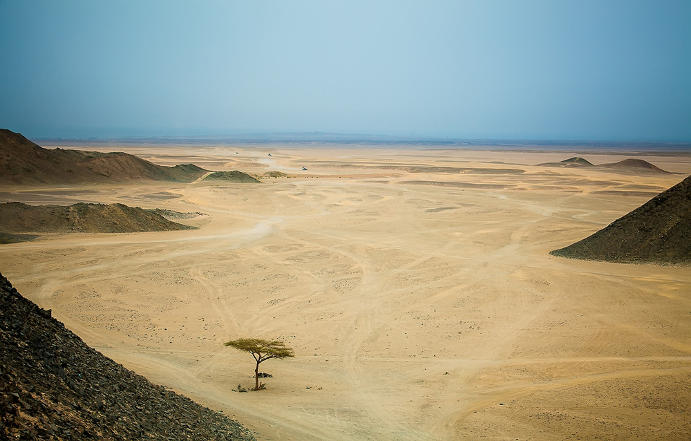 Egypt, Cairo, desert 2012