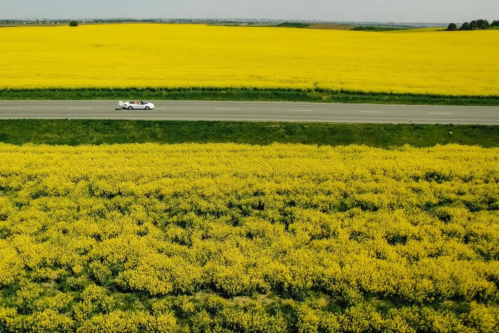 Юля+Андрій 