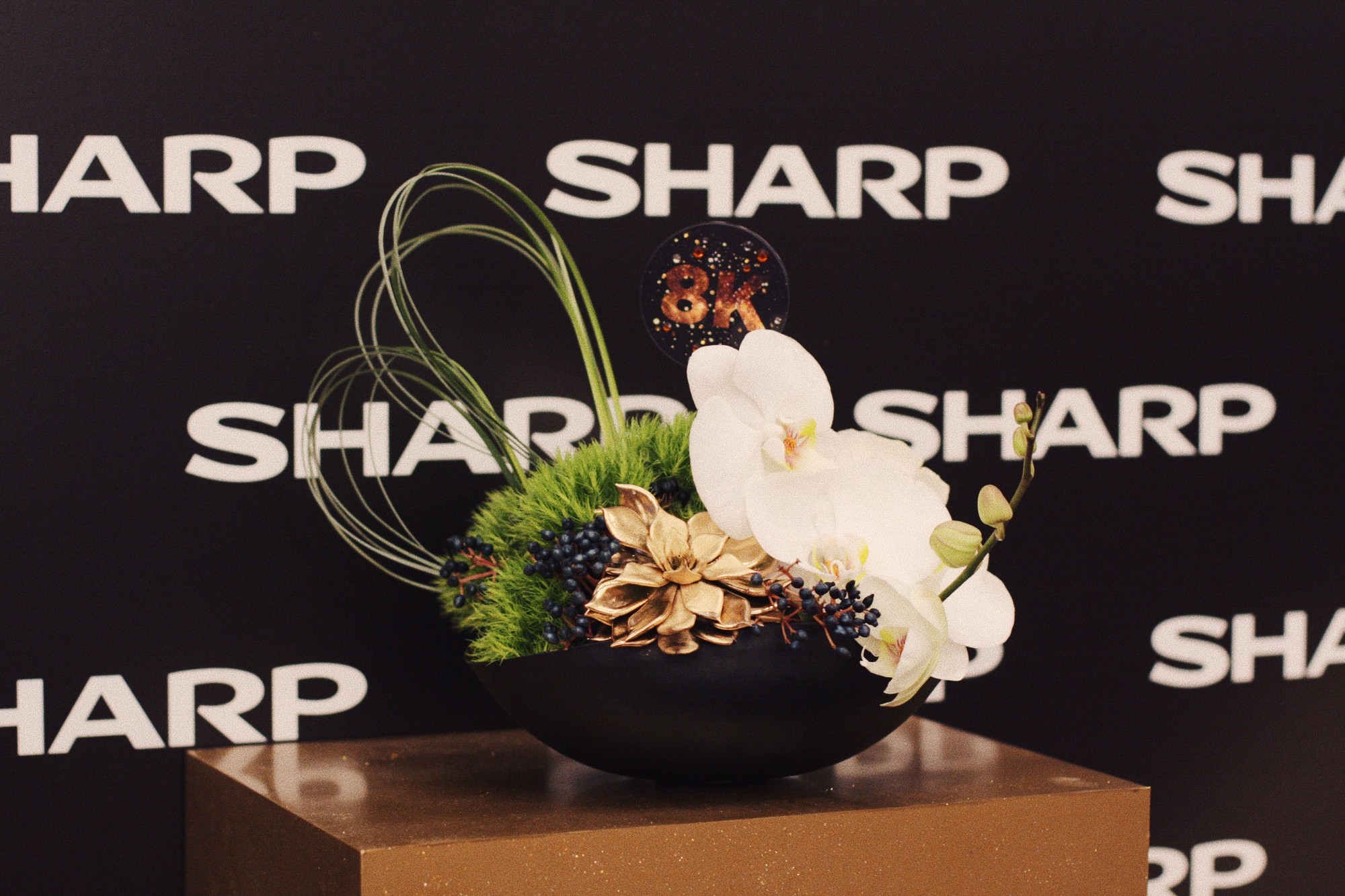Презентация Sharp в отеле The Ritz-Carlton